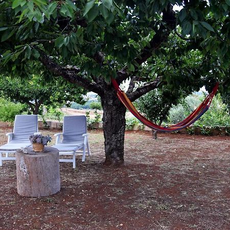 A Volte In Collina Villa มาร์ตินาฟรังกา ภายนอก รูปภาพ